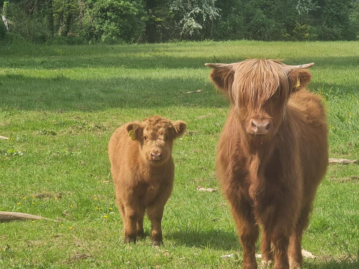 Stokkegaarden's & 3* Stokkemarke